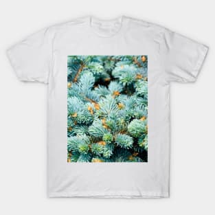 Silver spruce needles, natural pattern T-Shirt